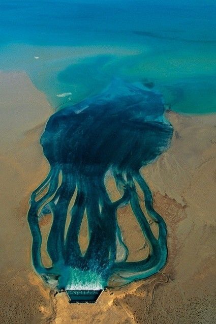 La terre vue du ciel par Yann-Arthus Bertrand