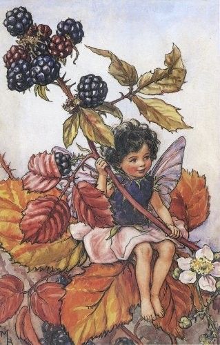 Dessins Saison Automne de Cicely Mary Barker