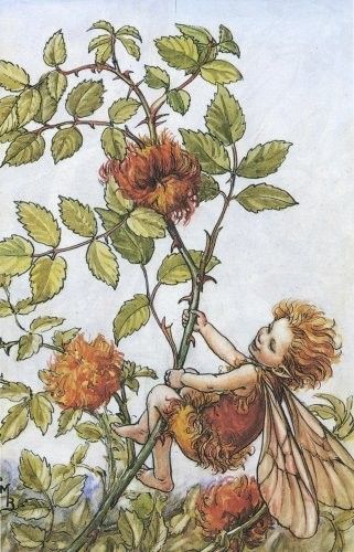 Dessins Saison Automne de Cicely Mary Barker