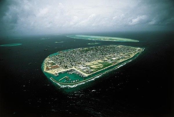 La terre vue du ciel par Yann-Arthus Bertrand