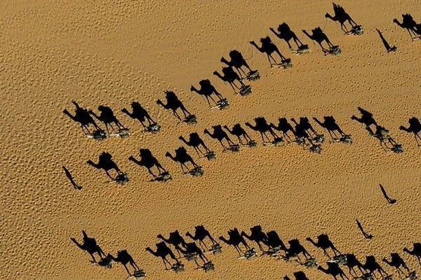 La terre vue du ciel par Yann-Arthus Bertrand