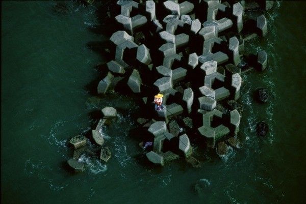 La terre vue du ciel par Yann-Arthus Bertrand