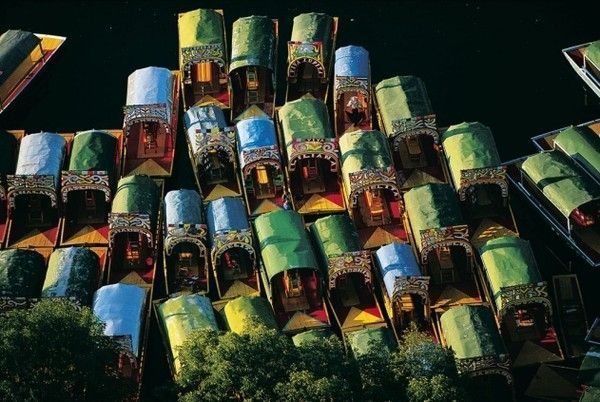 La terre vue du ciel par Yann-Arthus Bertrand