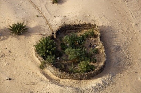 La terre vue du ciel par Yann-Arthus Bertrand